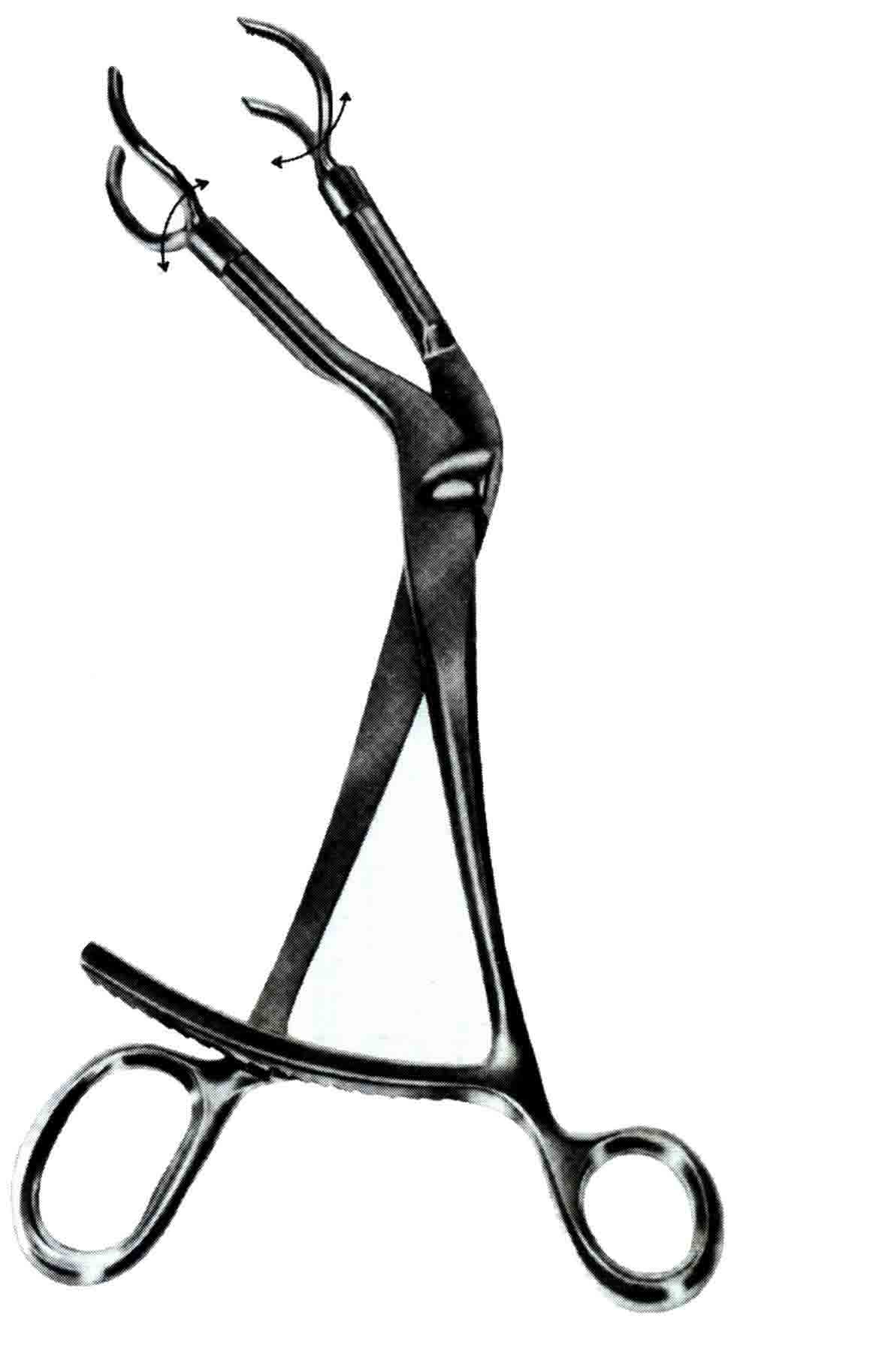 VERBUGGE KEMİK TUTUCU KLEMP 25CM